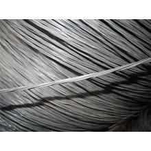 Geglühtes schwarzes Twist Wire (Q195)